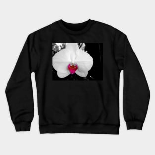 I'll Eat You Alive Crewneck Sweatshirt